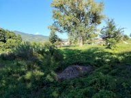 vendita terreno agricolo Massa