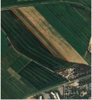vendita terreno agricolo Bibbona