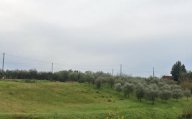 vendita terreno agricolo Lamporecchio