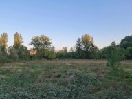 vendita terreno agricolo Colle di Val d'Elsa