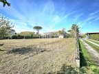 vendita terreno agricolo Massa