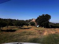 vendita terreno agricolo Manciano