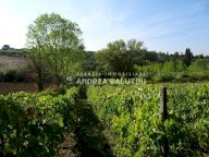 vendita terreno agricolo Capannoli