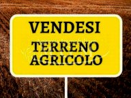 vendita terreno agricolo Santa Maria a Monte