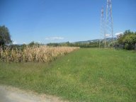 vendita terreno agricolo Castelnuovo Magra