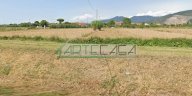 vendita terreno agricolo Cascina