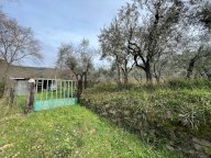 vendita terreno agricolo Lucca