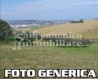 vendita terreno agricolo Pisa