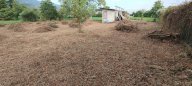 vendita terreno agricolo Massa