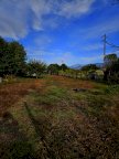vendita terreno agricolo Viareggio