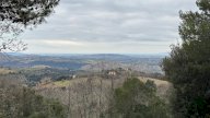 vendita terreno agricolo Scansano