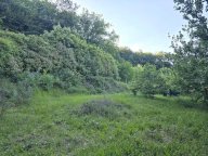 vendita terreno agricolo Poggibonsi