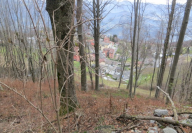 Vendita Terreno Agricolo Costa Valle Imagna