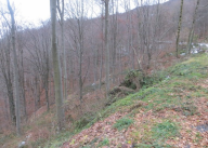 Vendita Terreno Agricolo Costa Valle Imagna