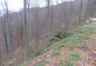 Vendita Terreno Agricolo Costa Valle Imagna