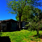 vendita terreno agricolo Casciana Terme Lari