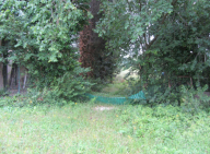 Vendita Terreno Agricolo Pesaro