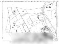 Vendita Terreno Agricolo Monte Porzio Catone