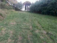vendita terreno agricolo Pontedera