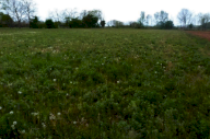 Vendita Terreno Agricolo Paese