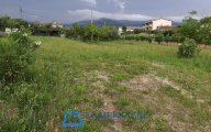 vendita terreno residenziale Larciano