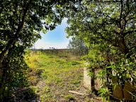 vendita terreno agricolo Piombino