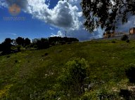 vendita terreno residenziale Alessano