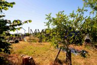 vendita terreno agricolo Livorno