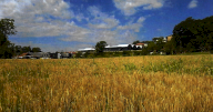 Vendita Terreno Agricolo Nibionno