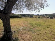 vendita terreno residenziale Cerreto Guidi