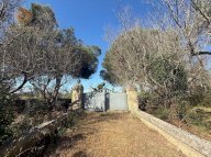 vendita terreno agricolo Alessano