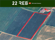 Vendita Terreno Agricolo Due Carrare