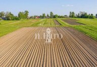 vendita terreno agricolo Campi Bisenzio