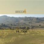 Vendita Terreno Agricolo Imola