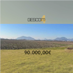 Vendita Terreno Agricolo Due Carrare
