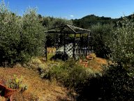 vendita terreno agricolo Pontedera