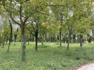 vendita terreno residenziale Treviso