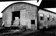 Vendita Terreno Agricolo Segni