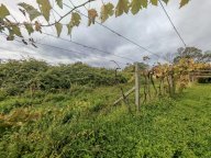 vendita terreno agricolo Carrara