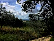 Vendita Terreno Agricolo Assisi