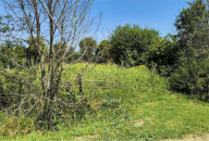 Vendita Terreno Agricolo Megliadino San Vitale