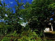 vendita terreno residenziale Montefalco