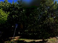 vendita terreno residenziale Cerreto di Spoleto