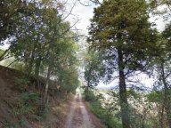 vendita terreno residenziale Torgiano