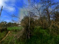 vendita terreno residenziale Magione