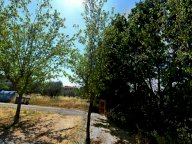 vendita terreno residenziale Montefalco