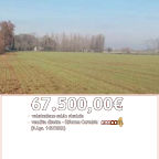 Vendita Terreno Agricolo Nogara