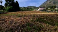 Vendita Terreno Agricolo Termini Imerese