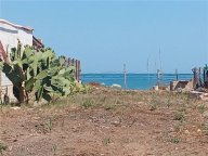 Vendita  San Nicandro Garganico