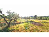 Vendita terreno agricolo SCANDICCI